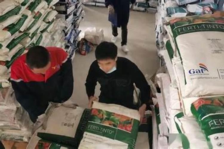 2025年7月21号钾肥价格