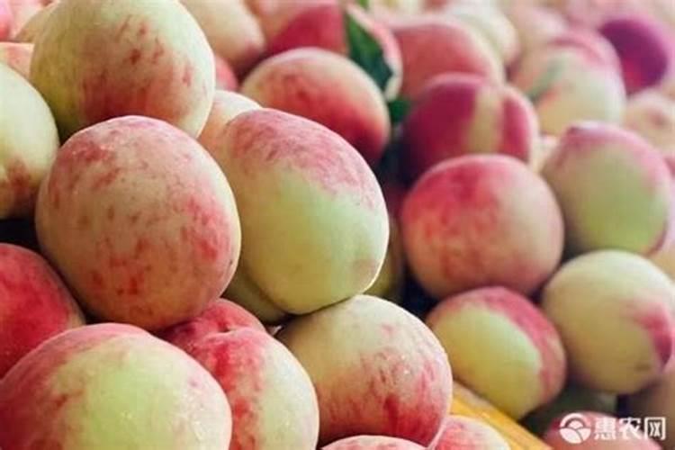 水养富贵竹可以放尿素肥吗