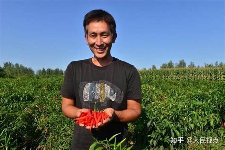 辣椒的要如何施肥