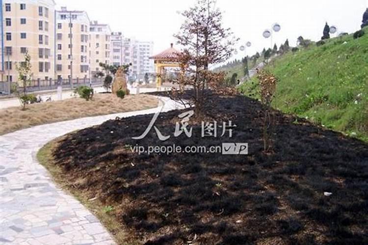 种花的泥土用干的好.还是湿的好.还是有点湿的好啊？