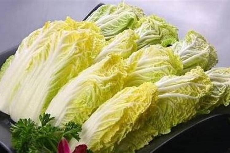 普罗旺斯薰衣草种植