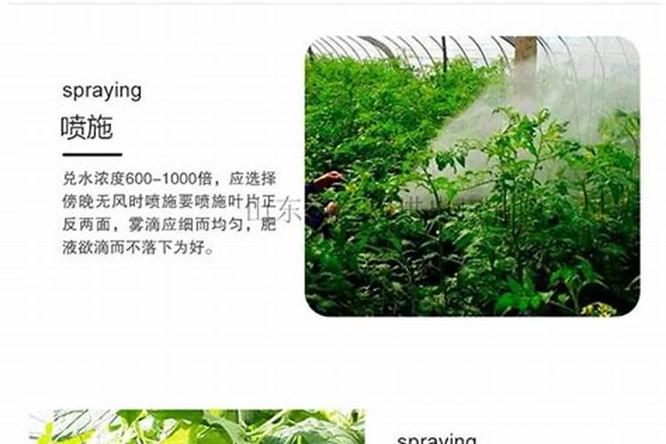 尿素肥料有几种类型