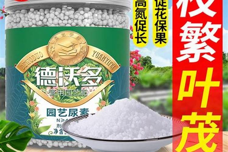 哪种氮肥效果最快？