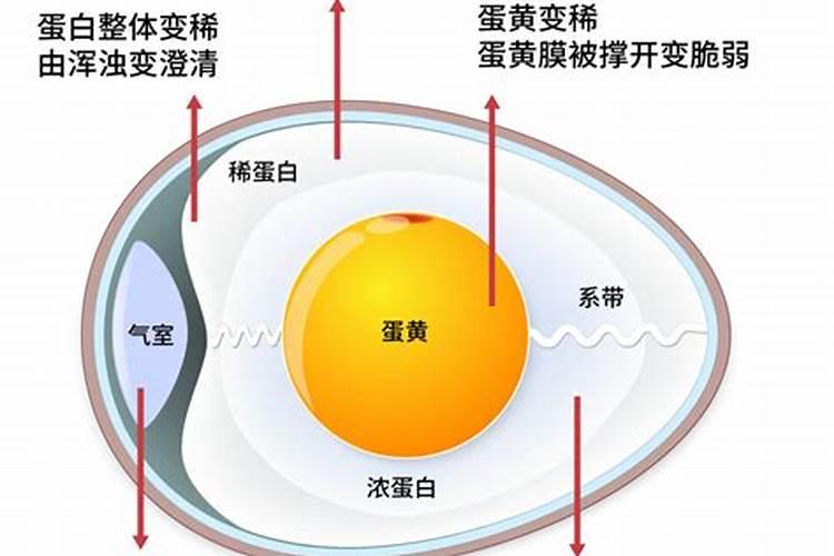 发酵好的鱼蛋白怎样保存不会坏