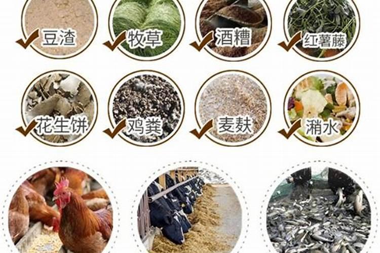 发酵好的鱼蛋白怎样保存不会坏