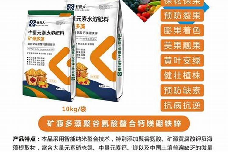 月季花怎么养护和施肥