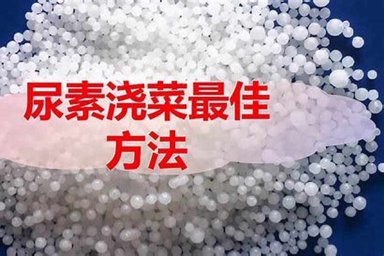 莴笋追肥是尿素好还是复合肥好 莴苣追肥有什么技巧