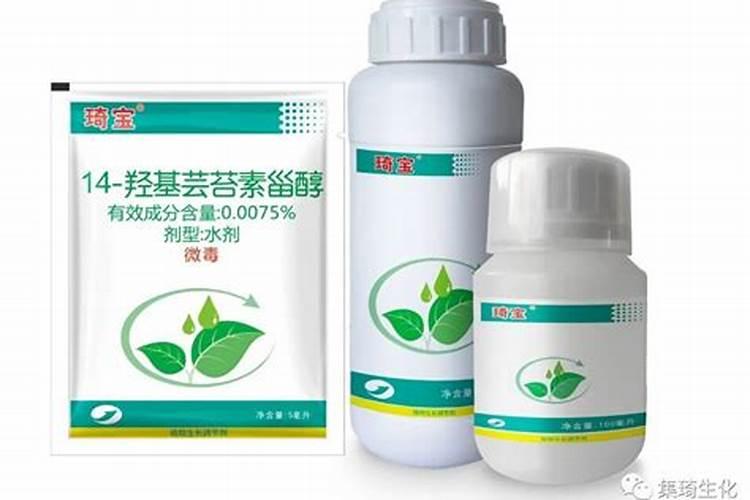 柑橘追肥能用芸菩素吗？