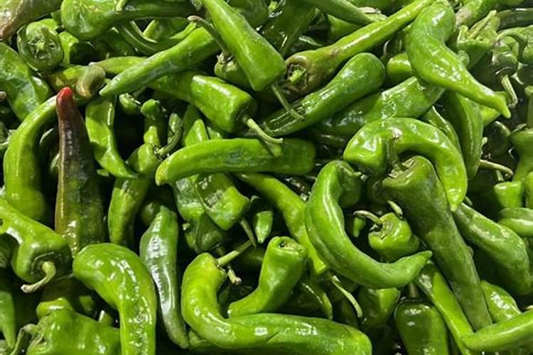 辣椒施肥的正确方法