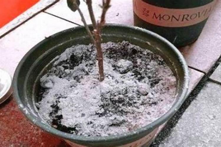 农用复合肥能做花肥吗