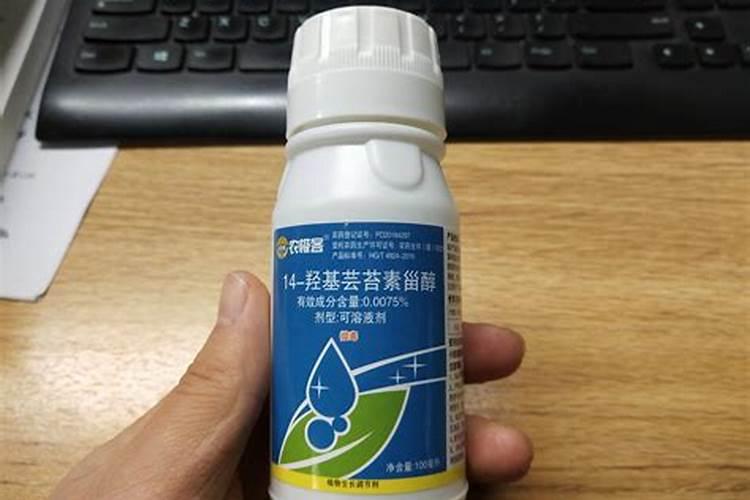 做了个沙盘,想把沙子凝固起来,该用什么胶水？谢谢