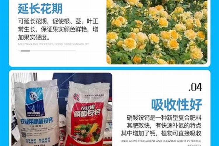 八角施什么肥最好