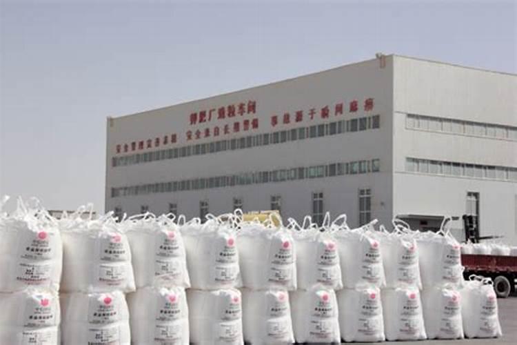 中国钾肥前十名上市公司