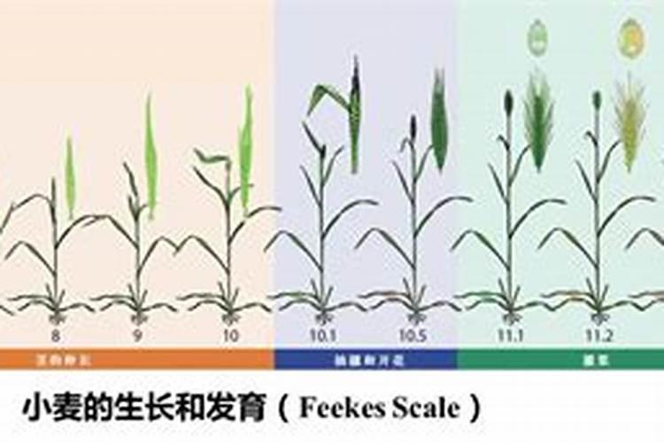 西安百度公司在哪？