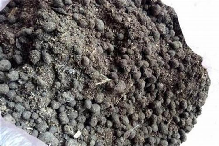 鸟粪怎么做肥料