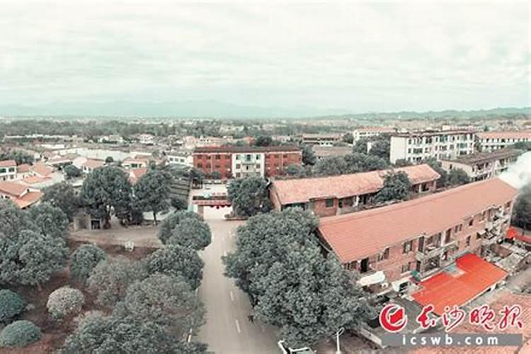 无公害蔬菜和有机蔬菜有什么区别？无公害蔬菜种植技术