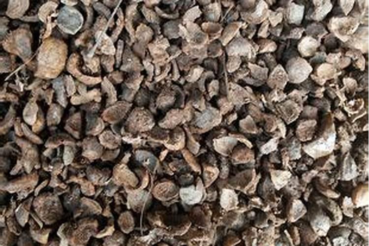 流体硼和硼酸有什么区别