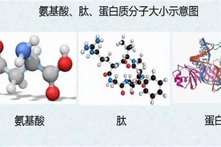 郑州化肥批发市场在哪里