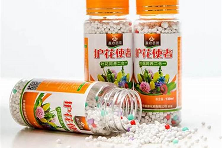 美观而又不争氧气,养什么植物可防止晚上睡觉屋内缺氧？