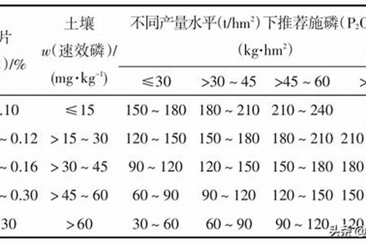 7月份柑橘可用磷肥吗