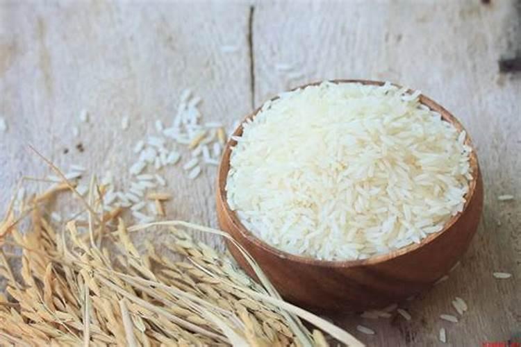 水稻中富含的营养素是什么