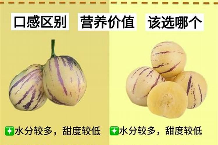 水稻优选 有机水溶肥料有哪些