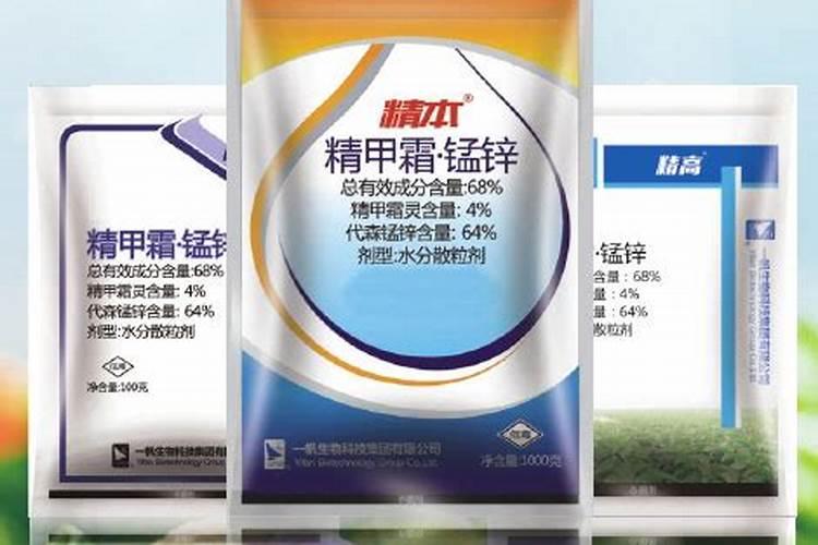 大葱的根腐病怎么防治比较好？