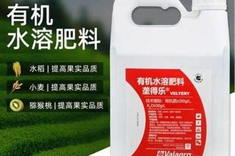 ...马水溶肥,看不少种植户都在用,效果到底怎么样？价格这么高,百度...