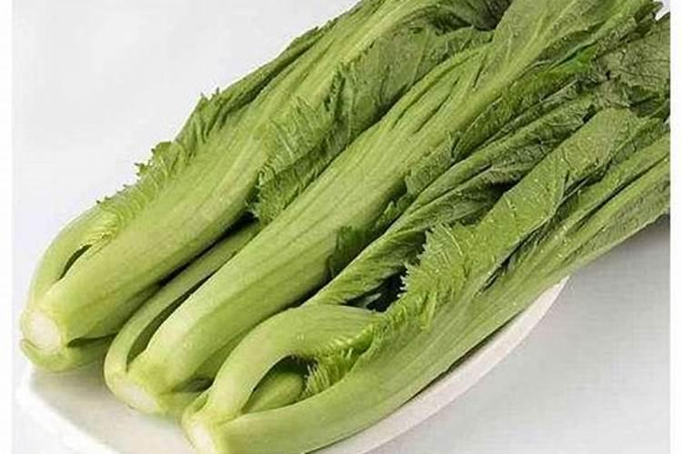 芥菜施肥用什么肥料