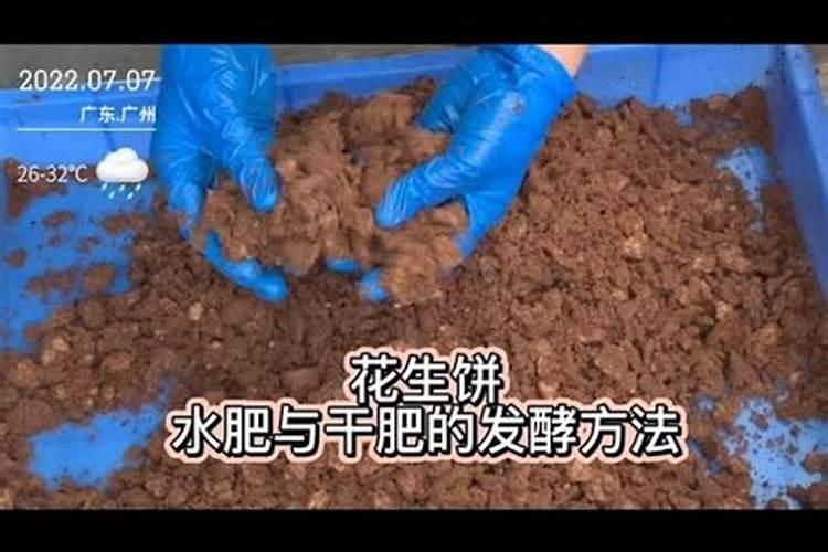 花生饼怎么发酵做肥料最简单的方法