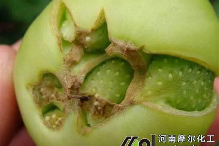 水溶肥冲上几天见效