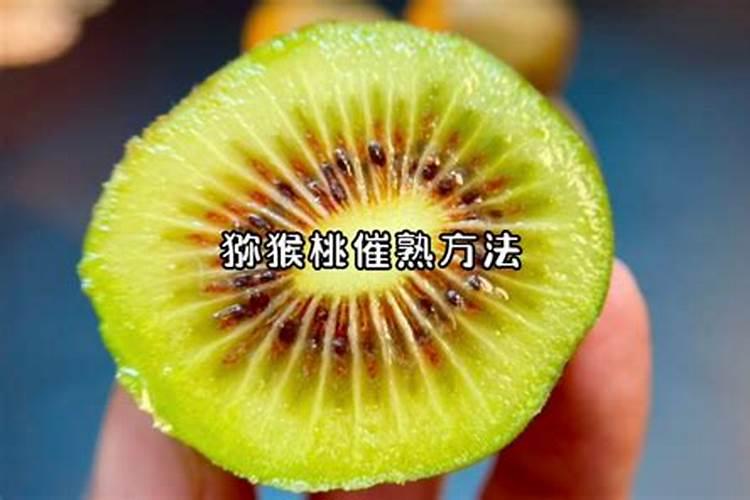猕猴桃的施肥禁忌