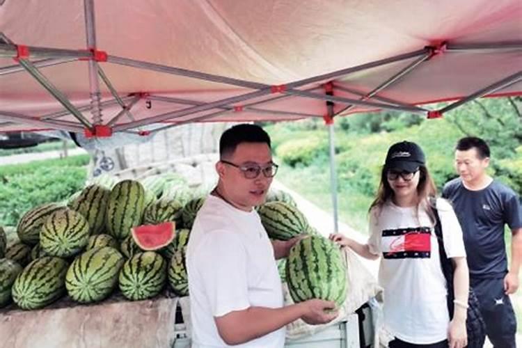 西瓜结果期专用肥是什么肥料？西瓜膨大期上什么肥料好？