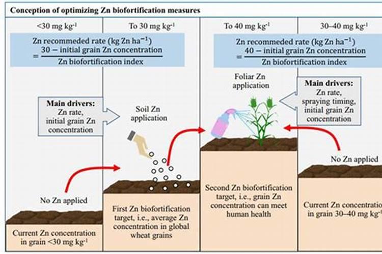 蔬菜施用锌肥一亩用多少,需要注意什么