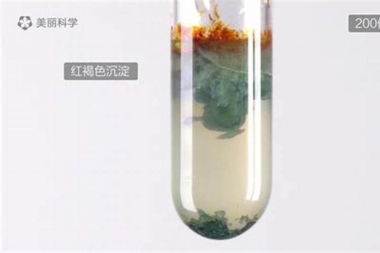 怎样检验铵态氮肥