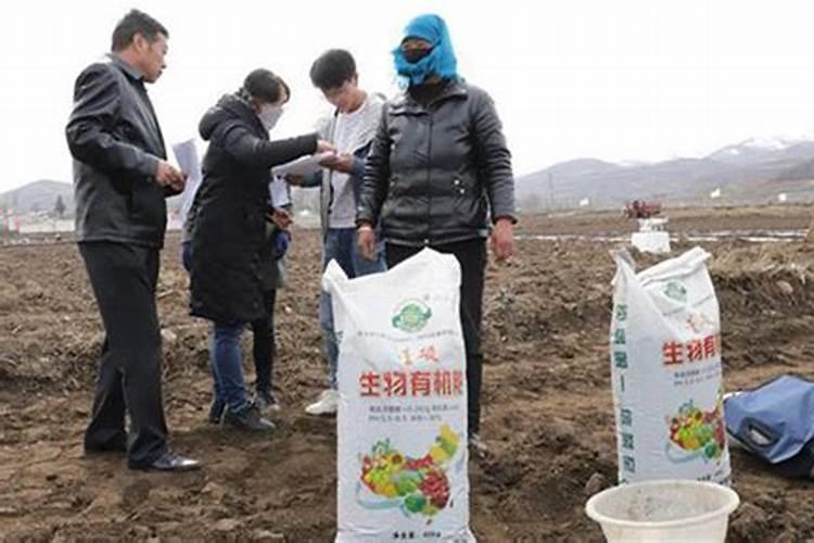 豆角开始结荚后,告诉几个小窍门