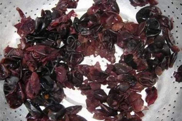 兰花多久施肥一次