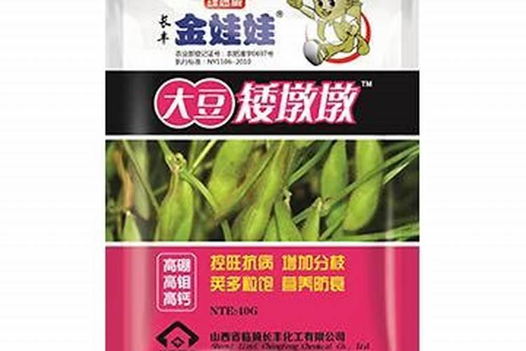 金娃娃萱草北方冬天室外能过冬吗