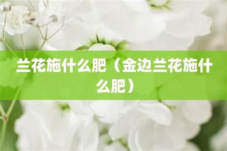涵物兰花控释肥怎样