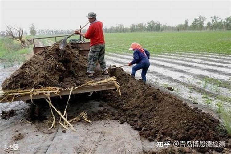 农业种植遭遇重金属“狙击”,我们该如何应对？
