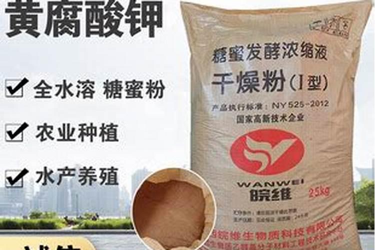 大葱怎样使用黄腐酸