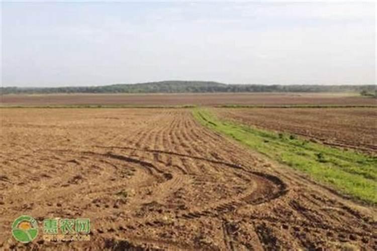 化肥是可再生资源吗