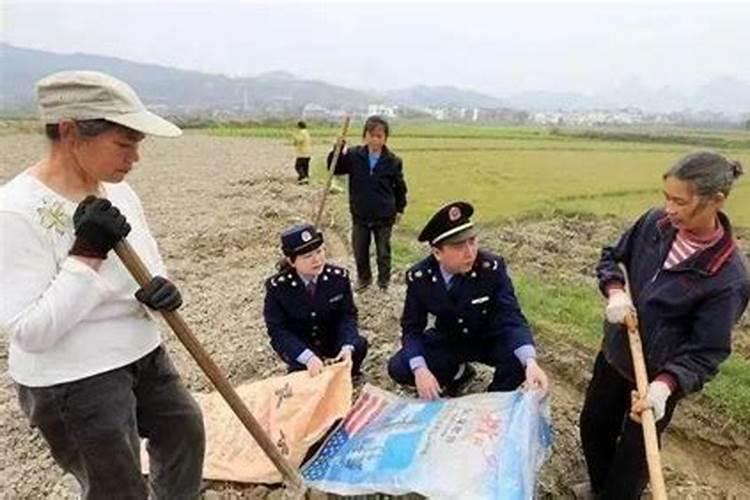 怎样识别假化肥