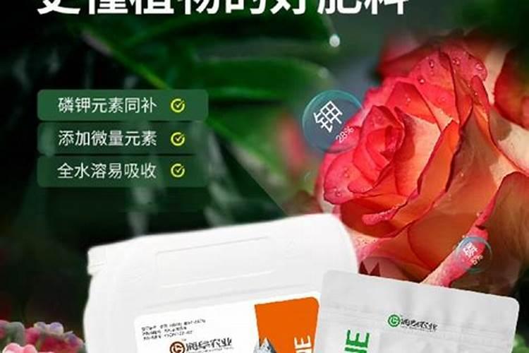 花生花期的种植管理方法？花生花期用什么费肥料最好？怎么用肥能高产？
