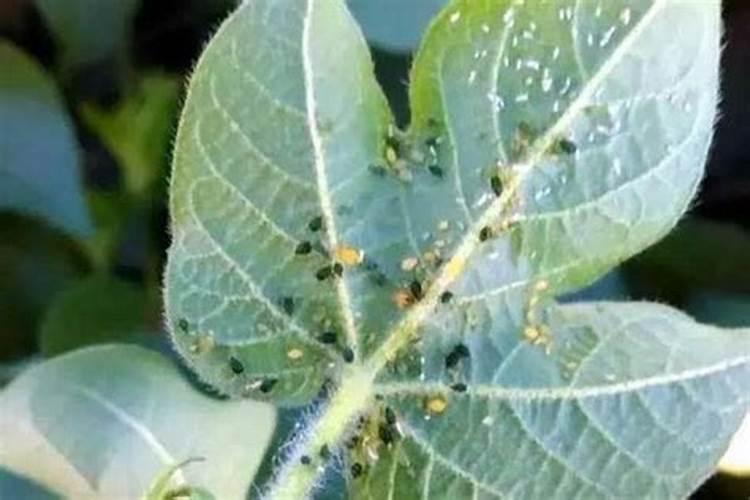 氮气是制造氮肥的重要原料吗