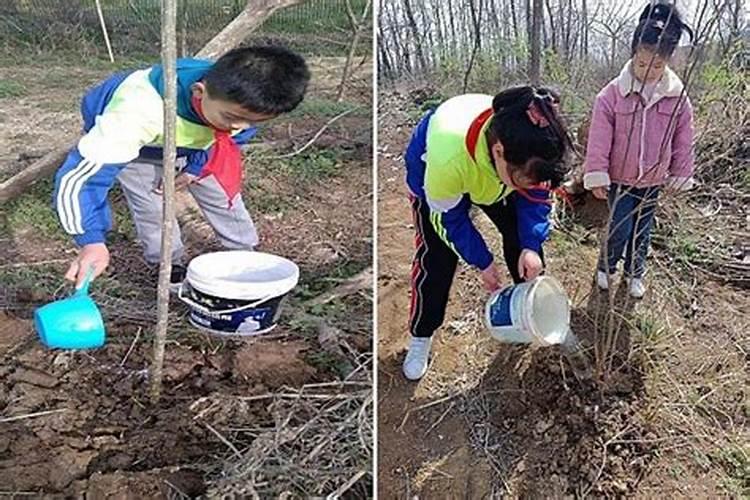 果树如何合理施用水溶肥