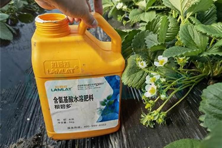 碳铵是什么肥料 碳酸氢铵肥效期多长