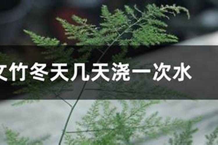 文竹夏天能施肥吗