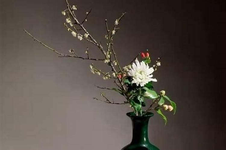 松针花肥要沤多久 松针花肥沤制时间要多久