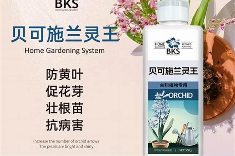 车厘子树苗用什么肥